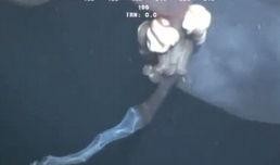 深海幕后爆料视频