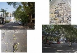 潮州城市爆料事件最新,最新事件追踪与深度解析