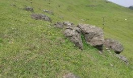 山上在线观看,揭秘“山上在线”的奇幻之旅