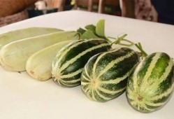 网红瓜在哪吃免费,揭秘隐藏在市井中的美食秘境