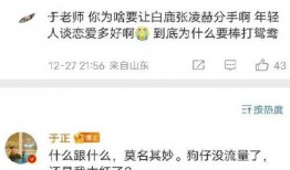 博主爆料白鹿张凌赫视频