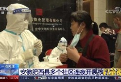 肥西女婿爆料新闻视频大全,新闻视频大全揭秘幕后真相