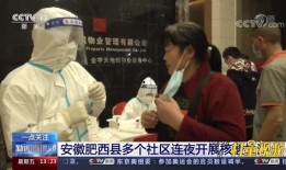 肥西女婿爆料新闻视频大全,新闻视频大全揭秘幕后真相