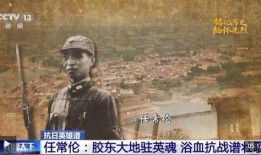 抗日老英雄爆料视频播放,揭秘那段烽火岁月的壮丽篇章