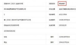 深圳卓越最新爆料,揭秘未来城市发展规划与亮点