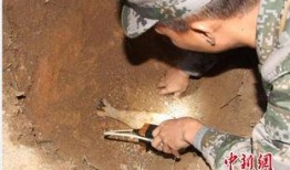 海南工地爆料事件始末视频,真相与争议的漩涡