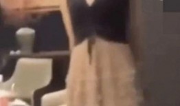网友爆料王女士视频大全,王女士视频大全引发热议