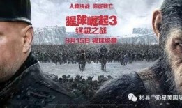 终极之战在线观看,在线观看，巅峰对决一触即发！