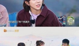 汪涵爆料姜妍视频播放全集,姜妍视频播放全集幕后真相大公开