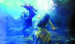 cf海底世界最新爆料是什么,神秘海洋生物即将登陆战场！