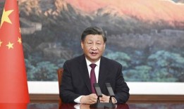 郑洁爆料郑文发言视频大全,视频大全揭秘背后真相