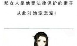 娱乐圈小说推文公开爆料