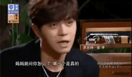 罗志祥母亲爆料了吗视频,揭秘事件背后真相