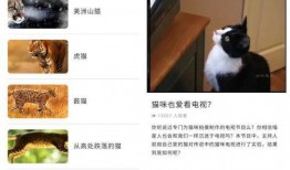 宠物黑料爆料视频下载网站