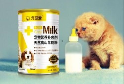 宠物羊奶粉爆料视频播放,爆款视频背后的真相与争议