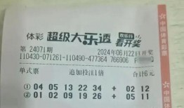 体彩大乐透最近爆料新闻,揭秘中奖秘诀与幕后故事