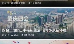 四会新闻爆料网站最新版,最新动态盘点，揭秘本地热点事件