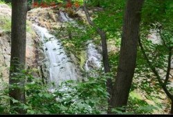 山上在线观看,揭秘“山上在线”的奇幻之旅