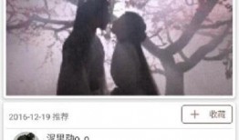 杨洋资讯爆料视频,幕后故事与精彩瞬间