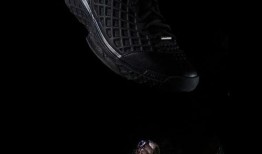 黑曼巴在线观看,在线揭秘神秘蛇王传奇