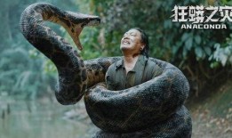 狂蟒之灾3在线观看,蟒蛇复仇，生死较量