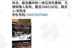 免费网友爆料视频在线观看,独家内容在线观看汇总