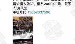 免费网友爆料视频在线观看,独家内容在线观看汇总