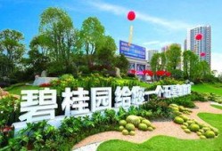 百色碧桂园爆料最新消息,揭秘项目进展与未来规划”