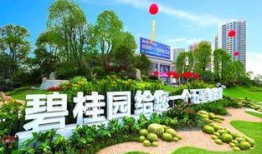 百色碧桂园爆料最新消息,揭秘项目进展与未来规划”