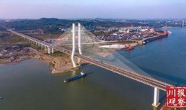 泰安大桥爆料视频播放下载,下载量突破百万