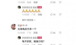 二八事件新爆料视频大全,真相再掀波澜