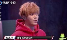 罗志祥母亲爆料了吗视频,揭秘事件背后真相