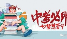 河南队侄女爆料最新消息,揭秘球队内部最新动态