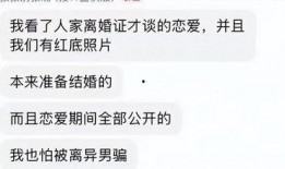 网友爆料离婚案件最新,豪门恩怨，真相背后令人唏嘘