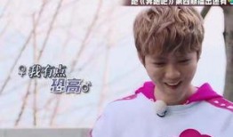 鹿晗热巴最新一期爆料,甜蜜互动引粉丝热议