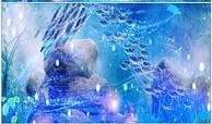 海洋生物爆料视频大全,视频大全带你探秘海底世界