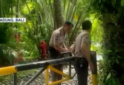 巴厘岛情侣事件最新爆料,最新爆料揭露惊人真相