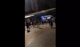 深圳视频爆料,揭秘城市生活背后不为人知的真相