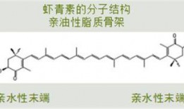 白术机制爆料最新进展