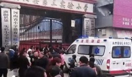 吴川小学爆料事件真相视频,真相视频曝光背后的真相