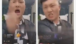 二子爷爆料天道视频播放,天道视频播放背后的惊人真相