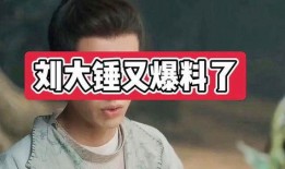 刘大锤爆料网红视频,视频爆料背后的惊人真相