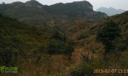 山上在线观看,揭秘“山上在线”的奇幻之旅