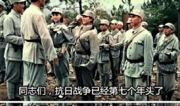 抗日老英雄爆料视频播放,揭秘那段烽火岁月的壮丽篇章