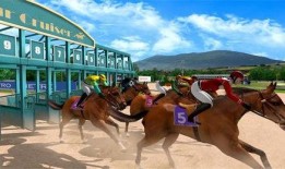 飞马最新爆料新闻