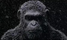 猩猩影院在线观看