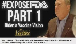 美国高管爆料视频大全最新,最新视频大全深度解析