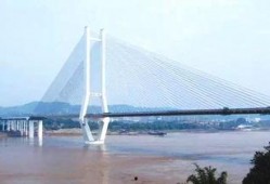 泰安大桥爆料视频播放下载,下载量突破百万