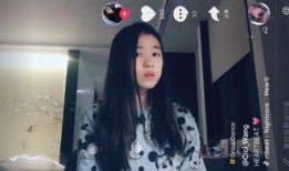 天涯爆料小艳子视频播放,小艳子视频播放引发热议，真相究竟如何？
