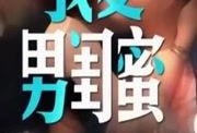 娱乐爆料君常来常往,揭秘常来常往背后的故事与幕后花絮